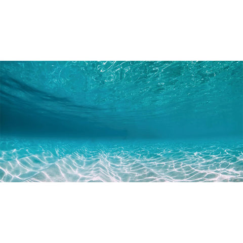 AWERT 24x16 inches Undersea Aquarium Background Pool Ocean Floor Aquarium Background Underwater Fish Tank Background