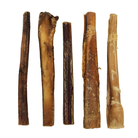 Express Pet Supplies 5 x EXTRA LONG 8" (20cm) Pizzles Thin/Various Thickness Dog Treat Chew