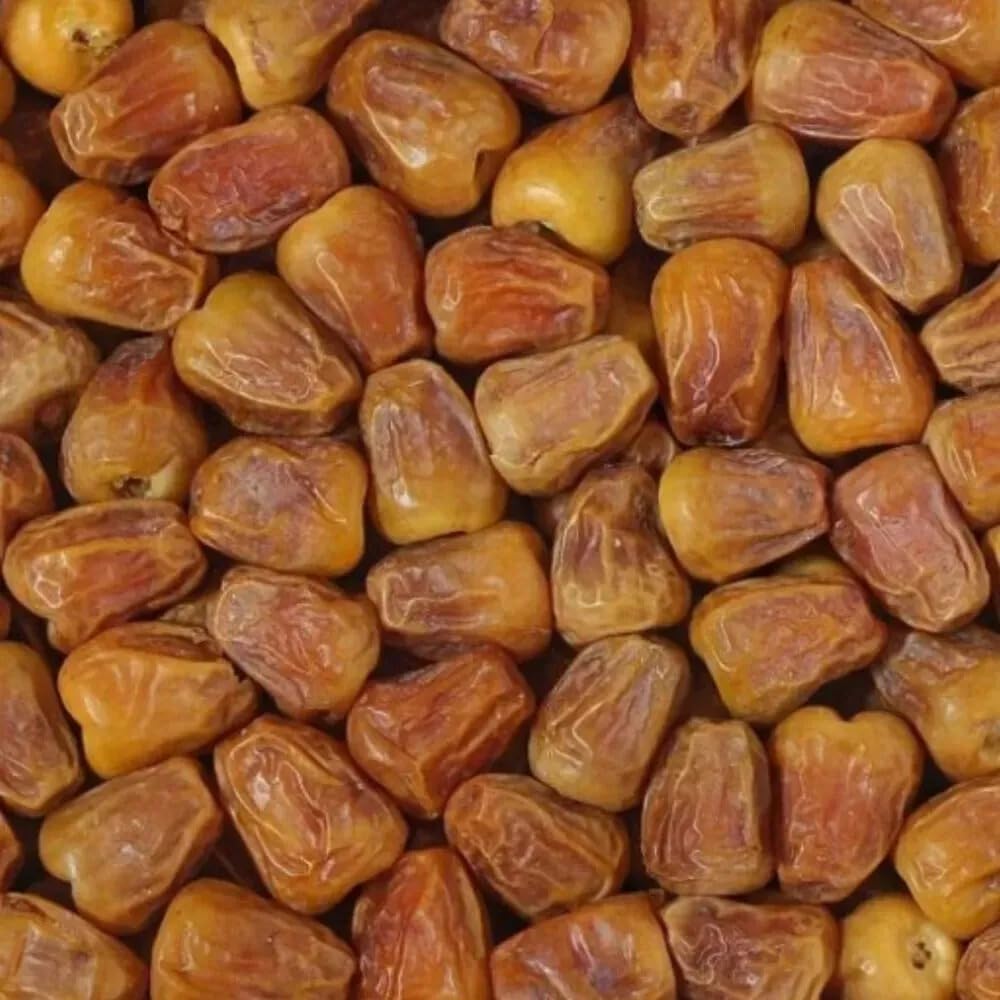 3KG Azhar Dates fresh dates dry fruits Organic dates dried dates Sukkari Mufattal ajwa dates Mabroom,Safawi (3kg Sukkari Mufattal)