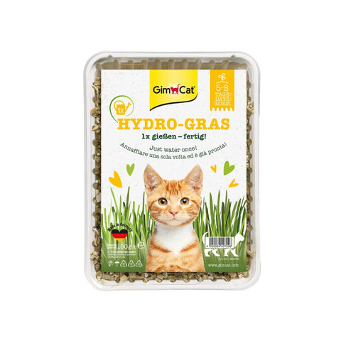 GimCat Hydro Grass - Fresh cat grass harvested from certified open fields, ready in only 5 to 8 days - 1 punnet (1 x 150 g)