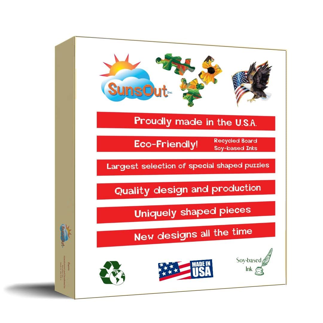 SUNSOUT INC - Rockland Express - 500 pc Jigsaw Puzzle by Artist: Sung Kim - Finished Size 18" x 24" - MPN# 36630