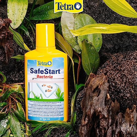 Tetra SafeStart Aquarium Starter - with live nitrifying bacteria, allows the rapid introduction of fish in an aquarium, 50 ml bottle.