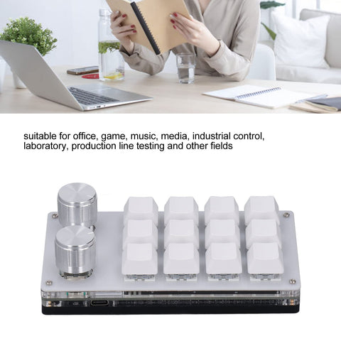 Leapiture Mini USB Keypad, 12 Key Multifunctional Gaming Shortcut Keyboard Programmable Keyboard One Handed Keypad with 2 Knob for Gaming