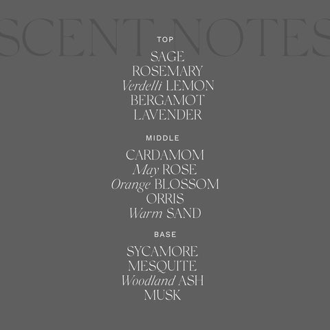 Antica Farmacista Diffuser Desert Sage, 16.9 Fl Oz