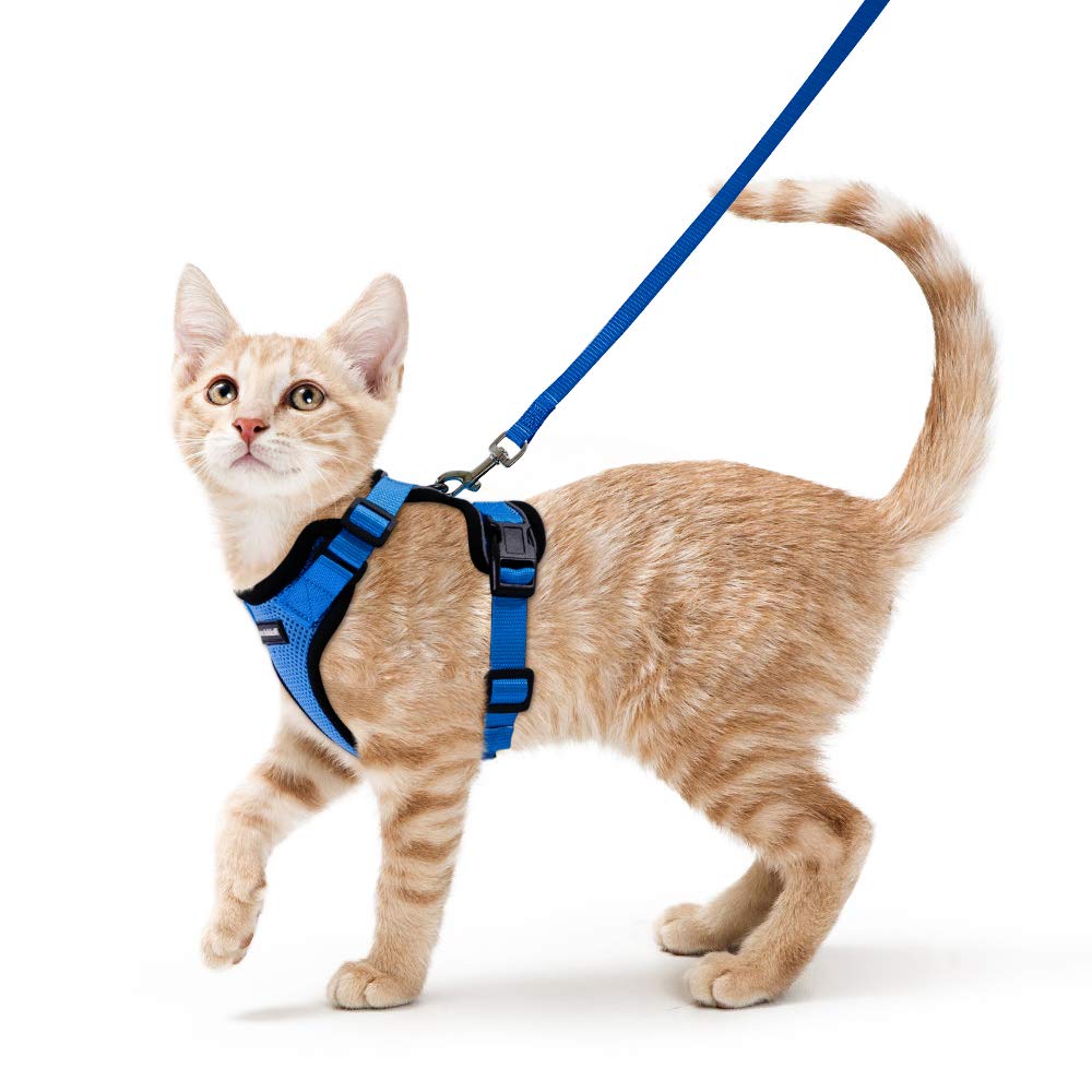 rabbitgoo Cat Harness and Lead Set, Escape Proof Kitten Harness with Leash, Metal Ring, Lightweight Soft, Reflective Adjustable Vest for Small Cat Walking Travel XS, Blue