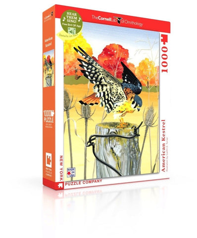 New York Puzzle Company - Cornell Lab American Kestrel - 1000 Piece Jigsaw Puzzle for Adults by Caitlin E. Turner