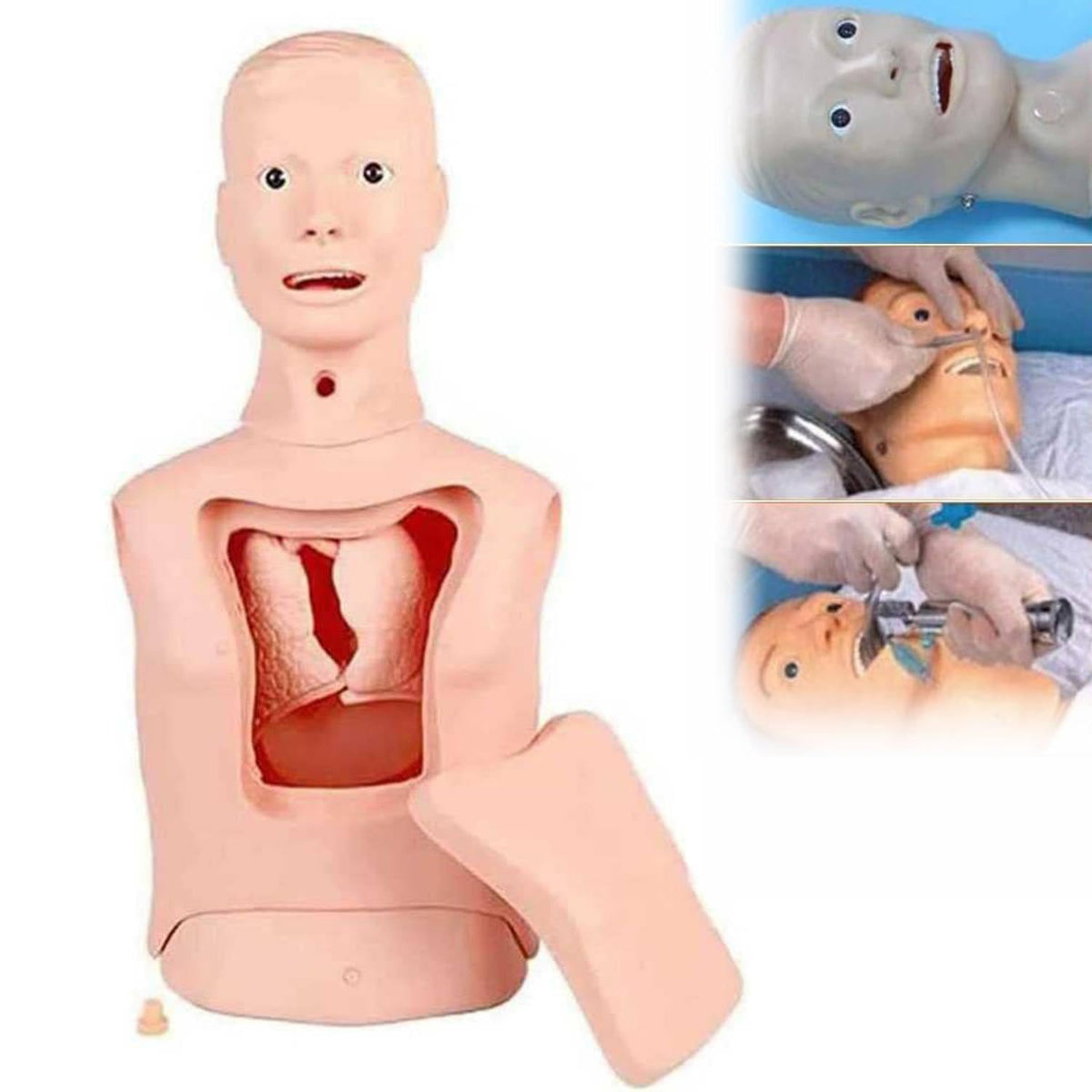 Intubation Gastric Tube Model Multifunctional Training Manikin Advanced Nasogastric Tube And Trachea Care Model Gastric Lavage Tracheostomy Model For Nurse And Medical Students