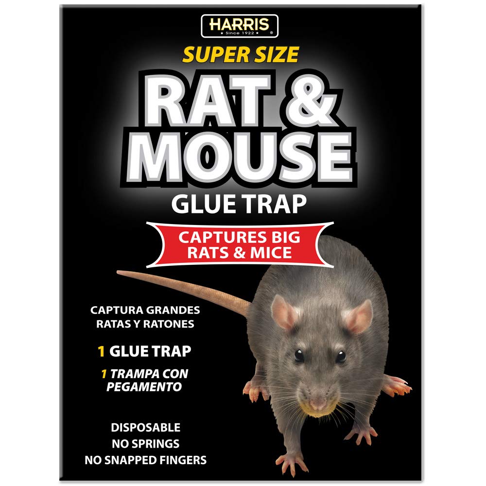 Harris Rat and Mouse Glue Trap, Super Size