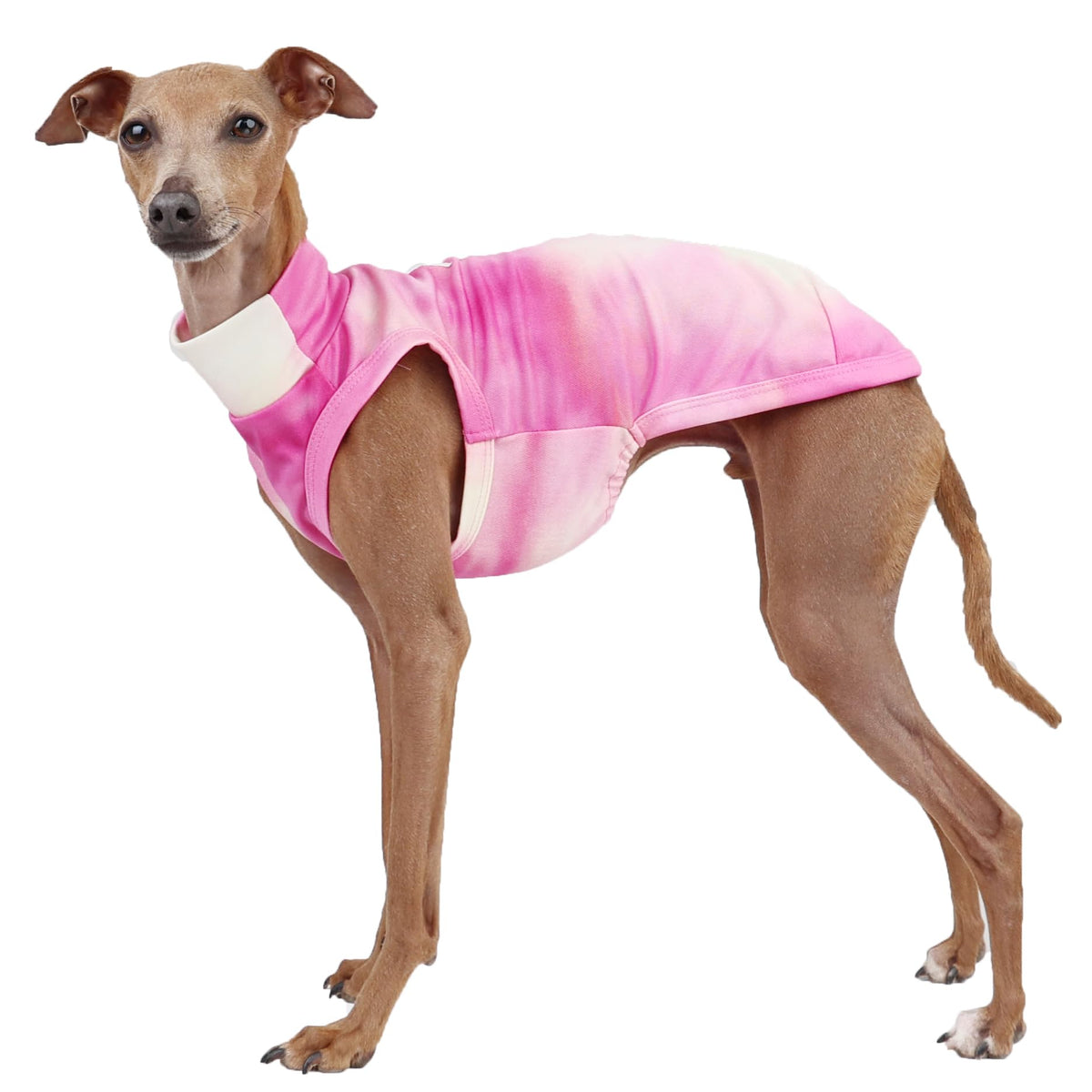 D DOGGY STAR Italian Greyhound Clothes Summer Cool T Shirts Rashguard Swimsuit Whippet for Dogs (XL,Cool Stained Pink)