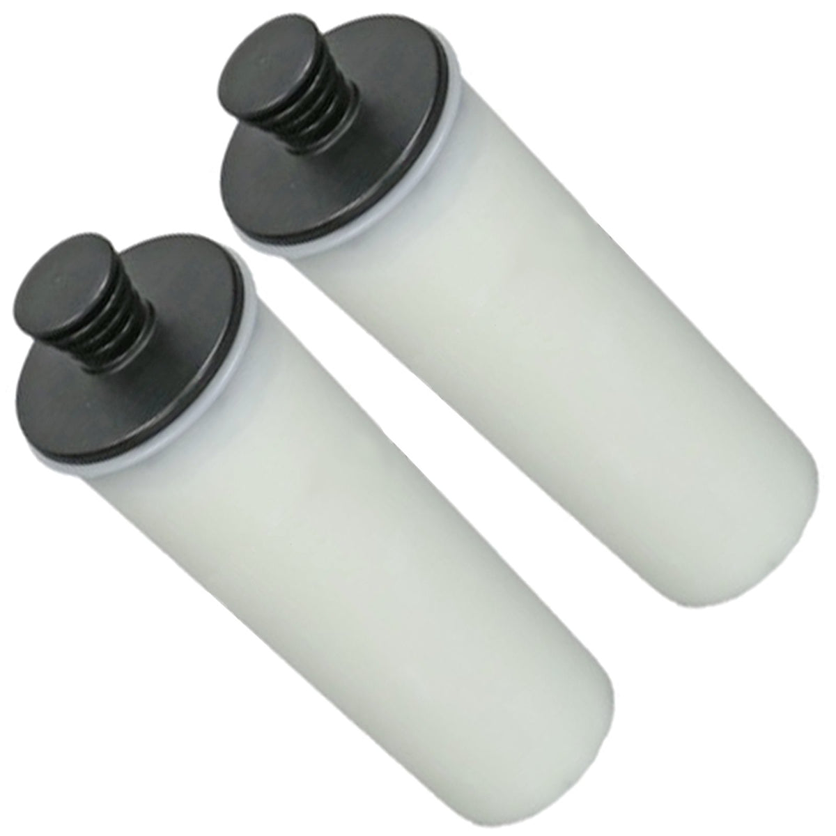 Spares2go Descaler Filter Cartridge fits Karcher SC3 Steam Cleaner (Pack of 2)