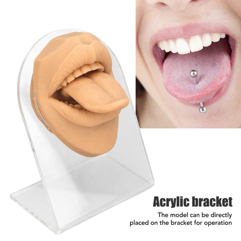 Human Tongue Model, Soft Tongue Model, Silicone Lifelike Acrylic Stand Mouth Model for Jewelry Display (Skin Color)