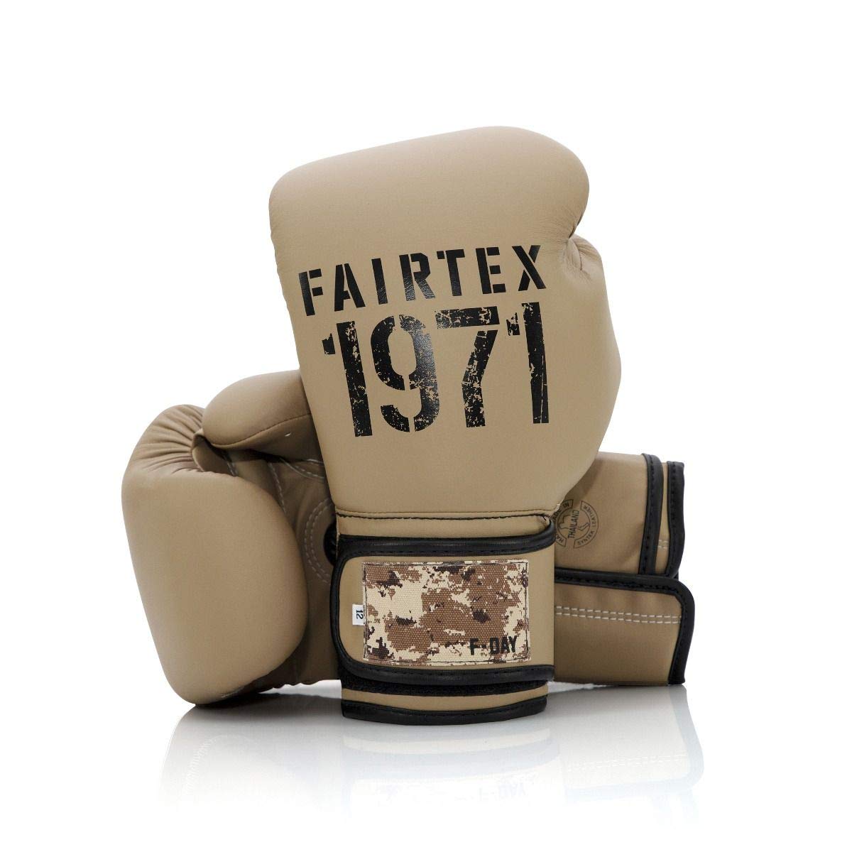 Fairtex Muay Thai Boxing Gloves for Men, Women, Kids | MMA Gloves, Kickboxing, Gym, Workout | Premium Quality, Light Weight & Shock Absorbent 12 oz Boxing Gloves- BGV25 F-Day2