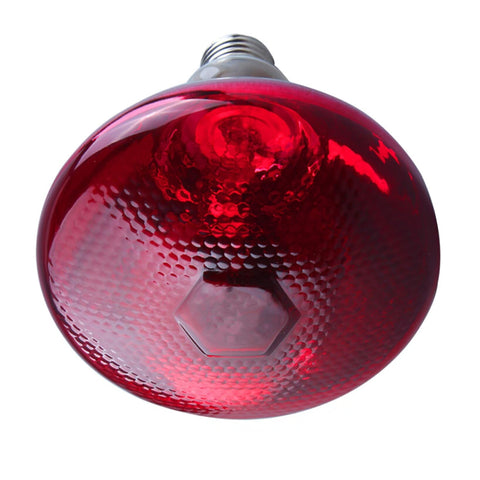 51buyoutgo 200W Thickened Infrared Heat Lamp Bulb for Puppies Reptiles Chicks Tortoise Poultry Dog, Puppy Reptile Heat Lamp, Chicken Basking Bulb Red