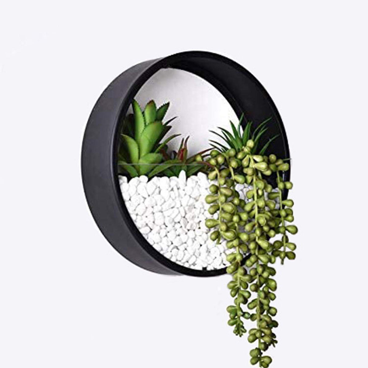 Ecosides Wall Mounted Planter Wall Hanging Planters Metal Plant Terrarium for Indoor Planter, Air Plant Holders Decorative Morden Circle Iron Vase for Succulent Indoor Wall Decor(12" H, Black)