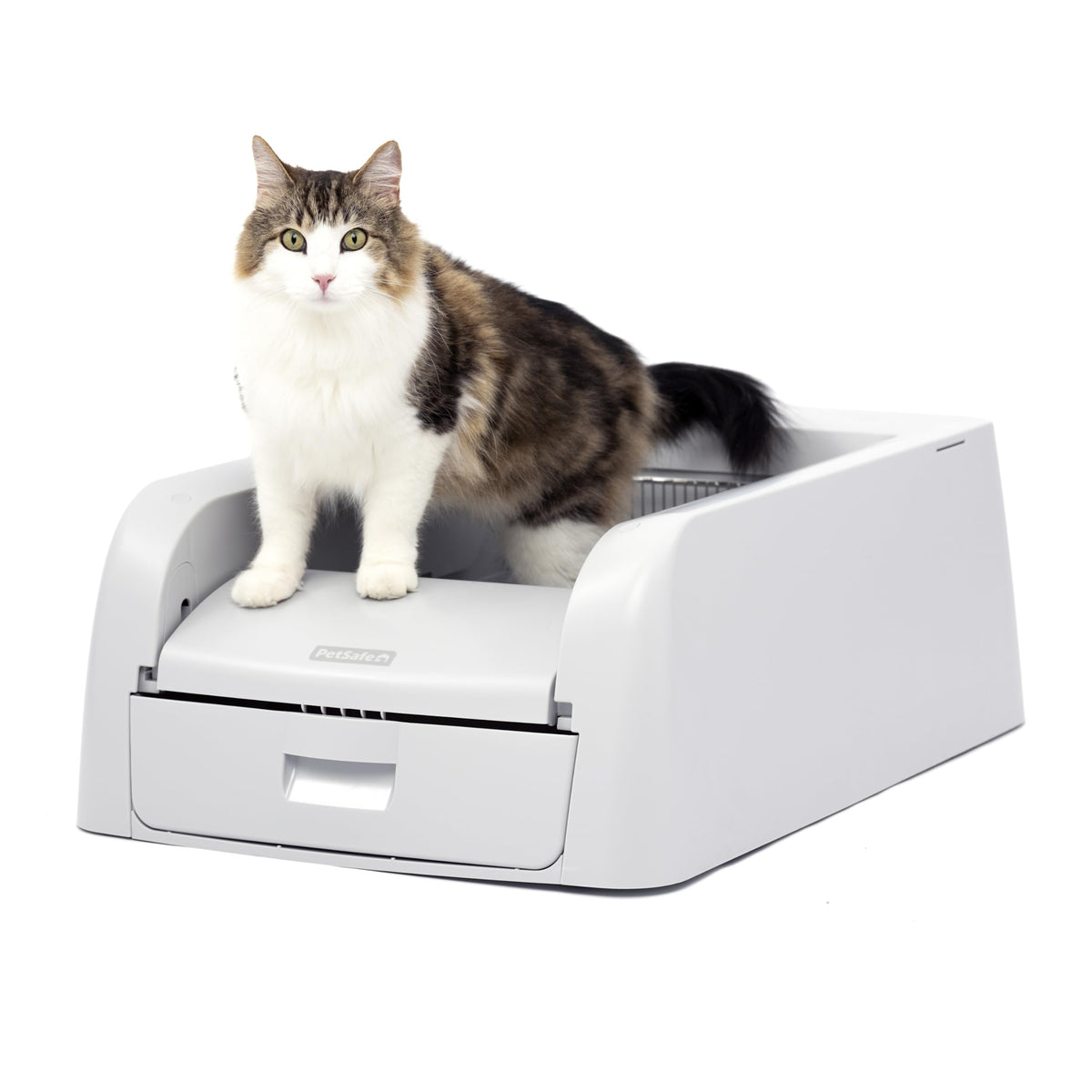 PetSafe ScoopFree Clumping Self-Cleaning Litter Box for Premium Clumping Litter - Superior Odour Control - Never Scoop Again - For Single and Multi-Cat Households