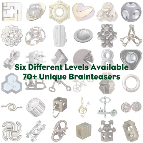 BePuzzled | H&H Hanayama Metal Brainteaser Puzzle Mensa Rated Level 5, for Ages 12 and Up