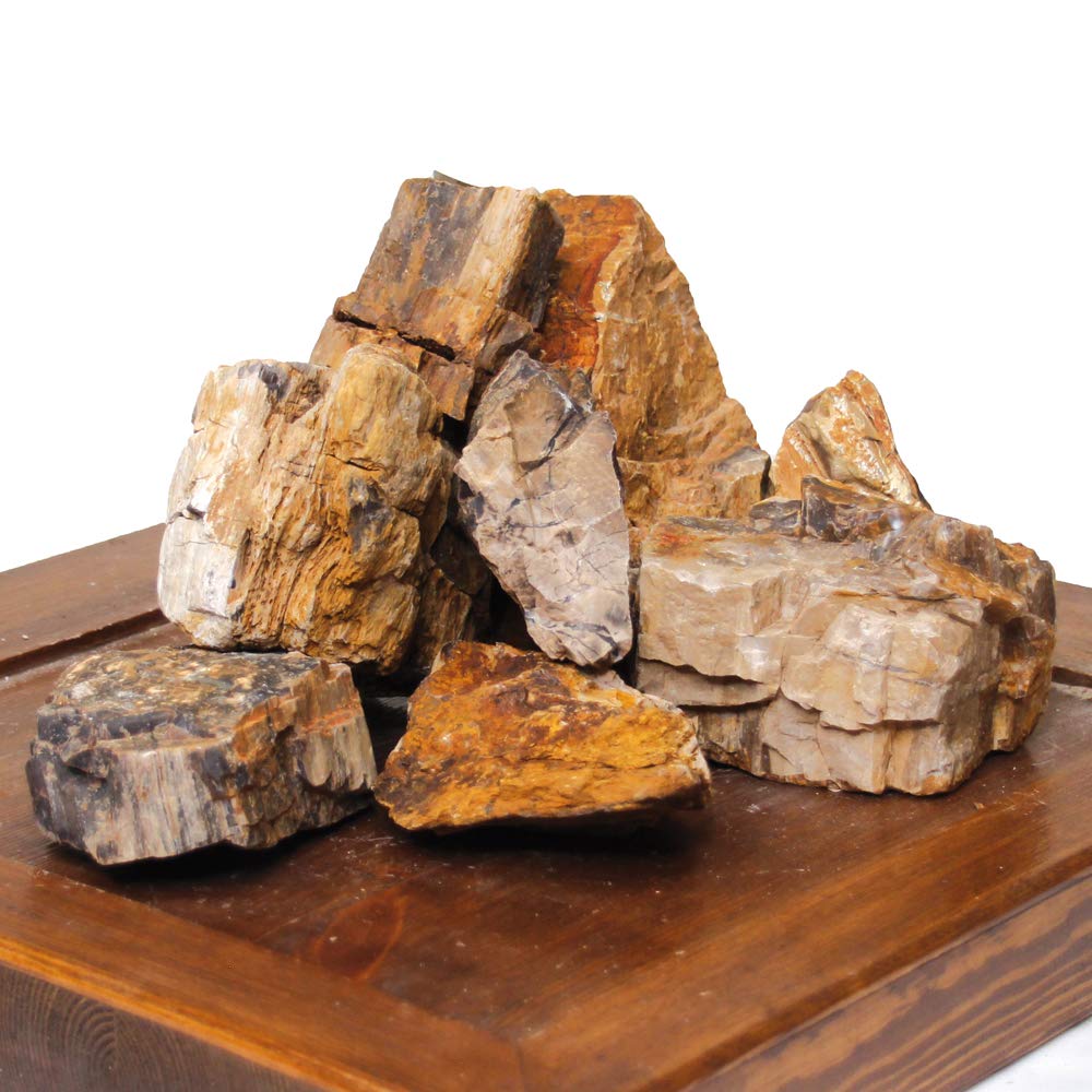 Amtra - Petrified Rock, Aquarium Decoration, Natural, Non-Limestone, Random Piece/Weight