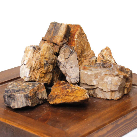 Amtra - Petrified Rock, Aquarium Decoration, Natural, Non-Limestone, Random Piece/Weight
