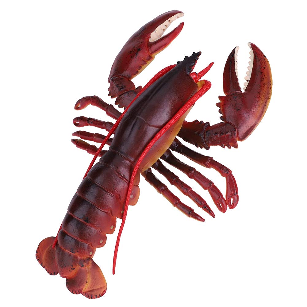 Simulation Lobster, Durable Plastic Lobster, Safe with Exquisite(Dark-Australian Lobster, 23cm)