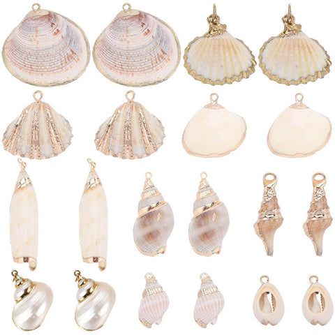 SUNNYCLUE 1 Box 20Pcs 10 Styles Seashell Charms Bulk Sea Shell Charms Gold Electroplated Natural White Conch Cowrie Ocean Beach Charm for Jewelry Making Charms Women DIY Necklaces Earrings Crafts