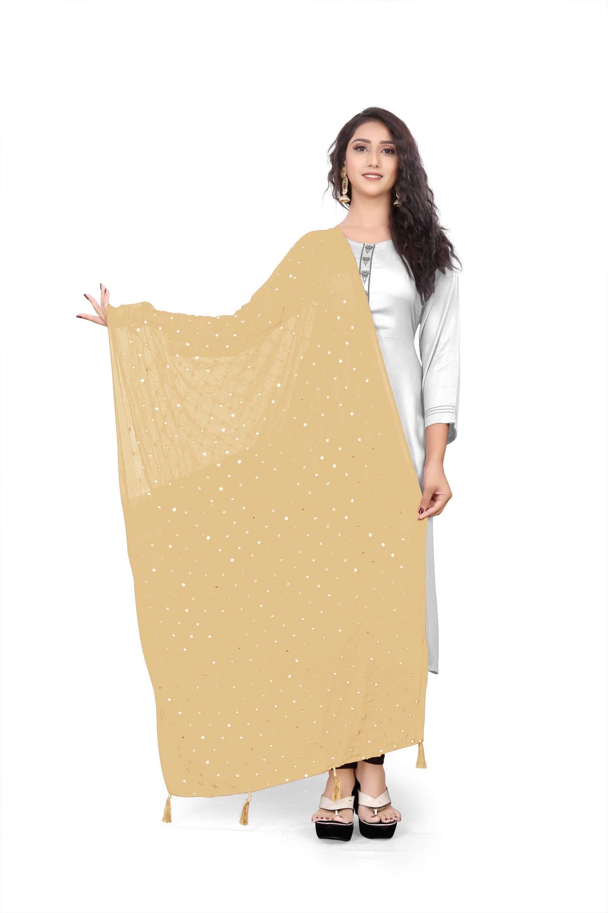 themilestocks TMS Woman's Embroidered Chiffon Dupatta Scarf Shawl Wrap Soft Indian Bridal Wedding (Beige)