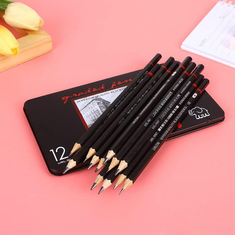 Kid's & Artist's Easy Grip Triangle Sketching Pencils Set for Sketch Art, Drawing, Shading (12)