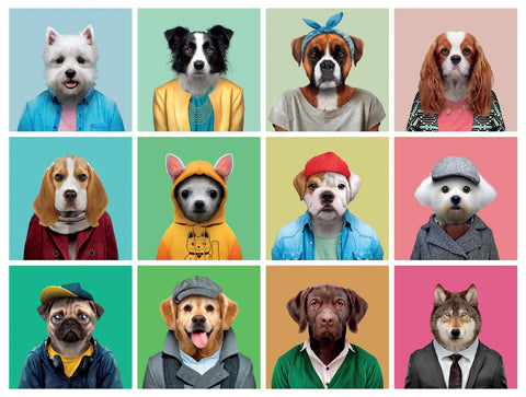 Buffalo Games - Canine Collage - 750 Piece Jigsaw Puzzle