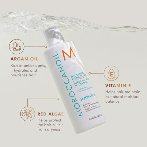 Moroccanoil Hydrating Conditioner, 250 ml (Pack of 1)