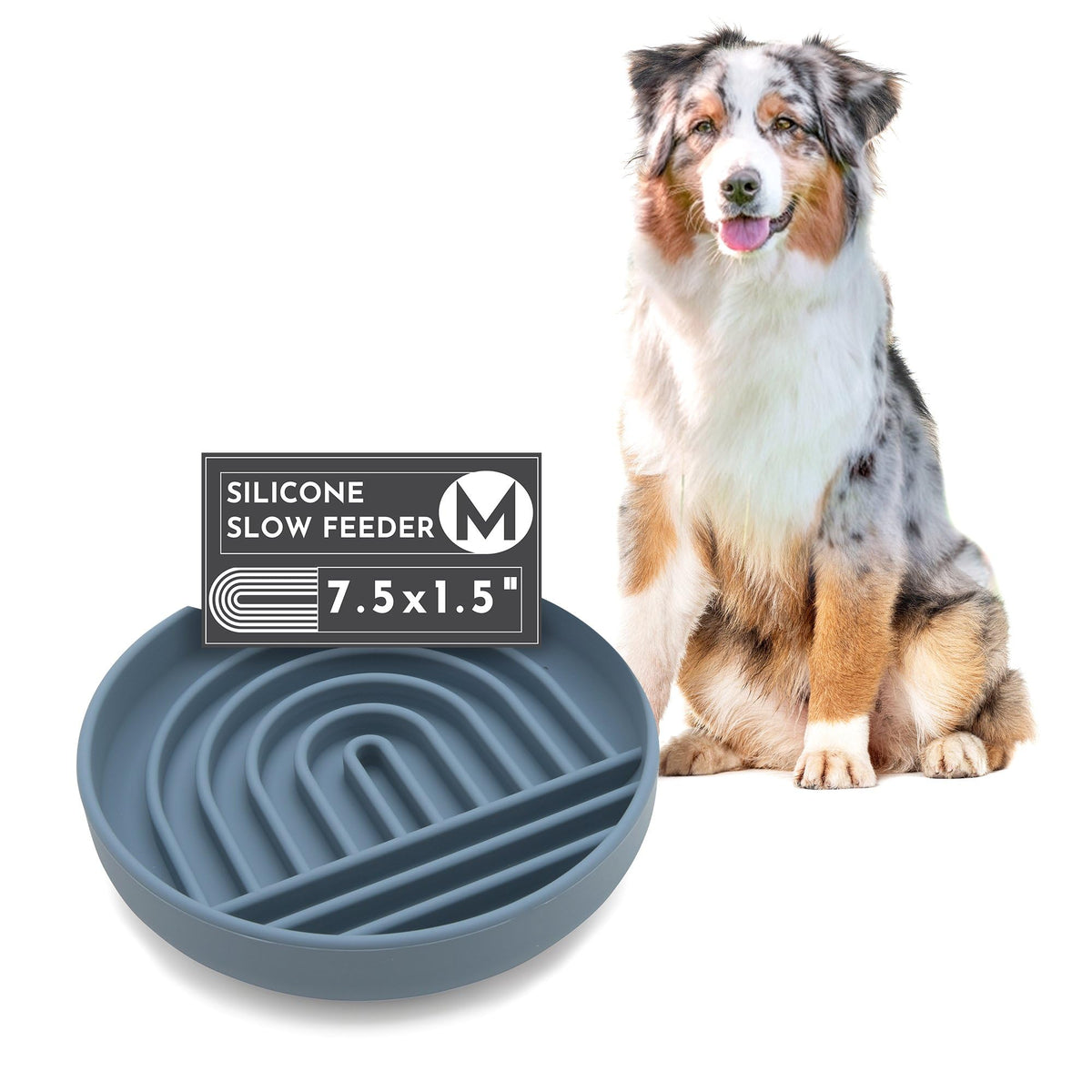 Should We Go? - The Slowdown Bowl - Silicone Slow Feeder for Dogs & Puppies, Slow Eating, Modern Lick Mat Design, Reduces Gulping, Dishwasher Fit, for All Breed, Mealtime Challenge, Medium-Ocean