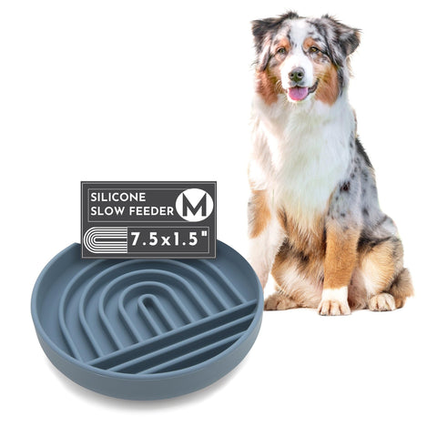 Should We Go? - The Slowdown Bowl - Silicone Slow Feeder for Dogs & Puppies, Slow Eating, Modern Lick Mat Design, Reduces Gulping, Dishwasher Fit, for All Breed, Mealtime Challenge, Medium-Ocean