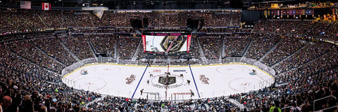 MasterPieces 1000 Piece Sports Jigsaw Puzzle - NHL Las Vegas Golden Knights Center View Panoramic - 13"x39"