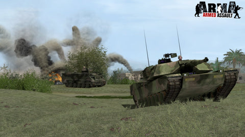 ArmA Gold (PC DVD)