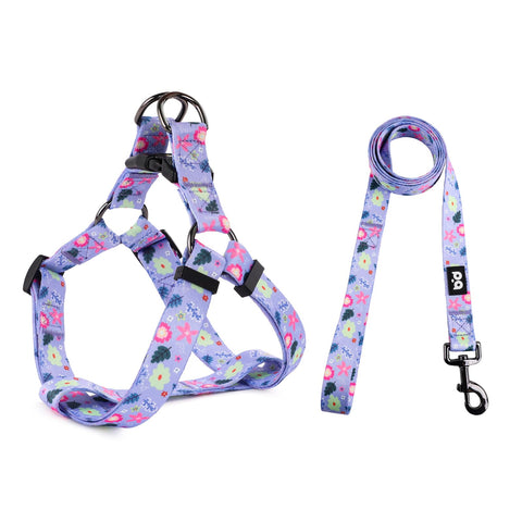 QQPETS Dog Harness Leash Set Dog Leads Adjustable Heavy Duty No Pull Halter Harnesses for Small Medium Large Breed Dogs Back Clip Anti-Twist Perfect for Walking