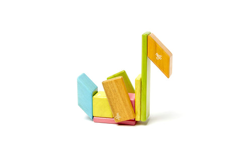 Tegu 14 Piece Magnetic Wooden Block Set in Tints