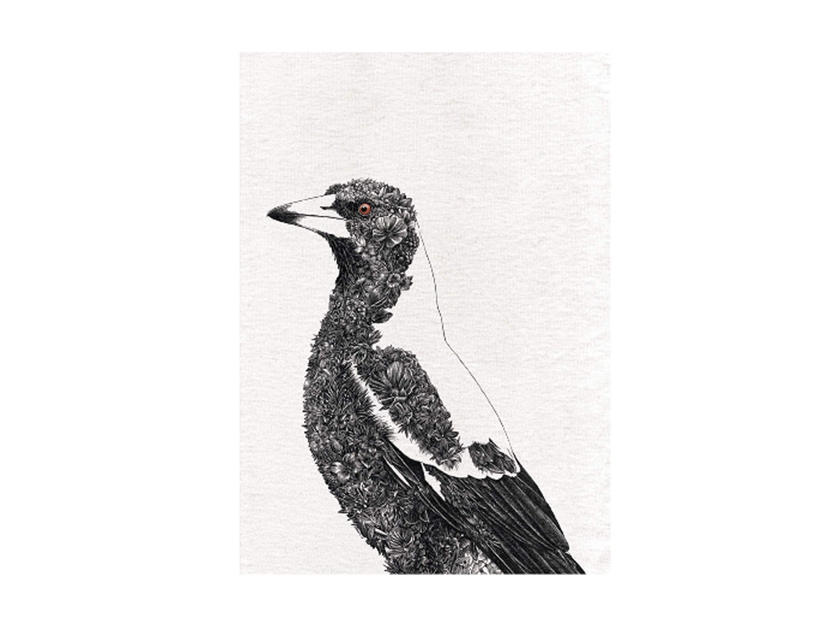 Maxwell & Williams Marini Ferlazzo Birds Printed Tea Towel with Australian Magpie Design, Cotton, Black/White, 50 x 70 cm