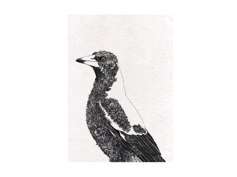 Maxwell & Williams Marini Ferlazzo Birds Printed Tea Towel with Australian Magpie Design, Cotton, Black/White, 50 x 70 cm