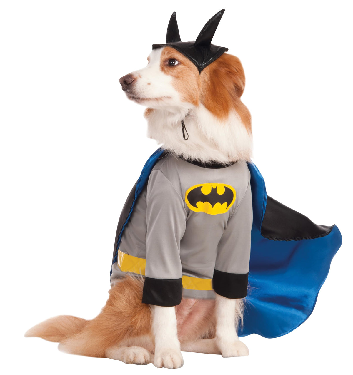 Rubie's unisex adult DC Comics Batman Big Dog Boutique, XXX-Large Party Supplies, Pink Sequin, XXX-Large UK Halloween Halloween