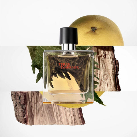 Terre D'Hermes By Hermes Eau De Toilette Spray 6.7 Oz Men
