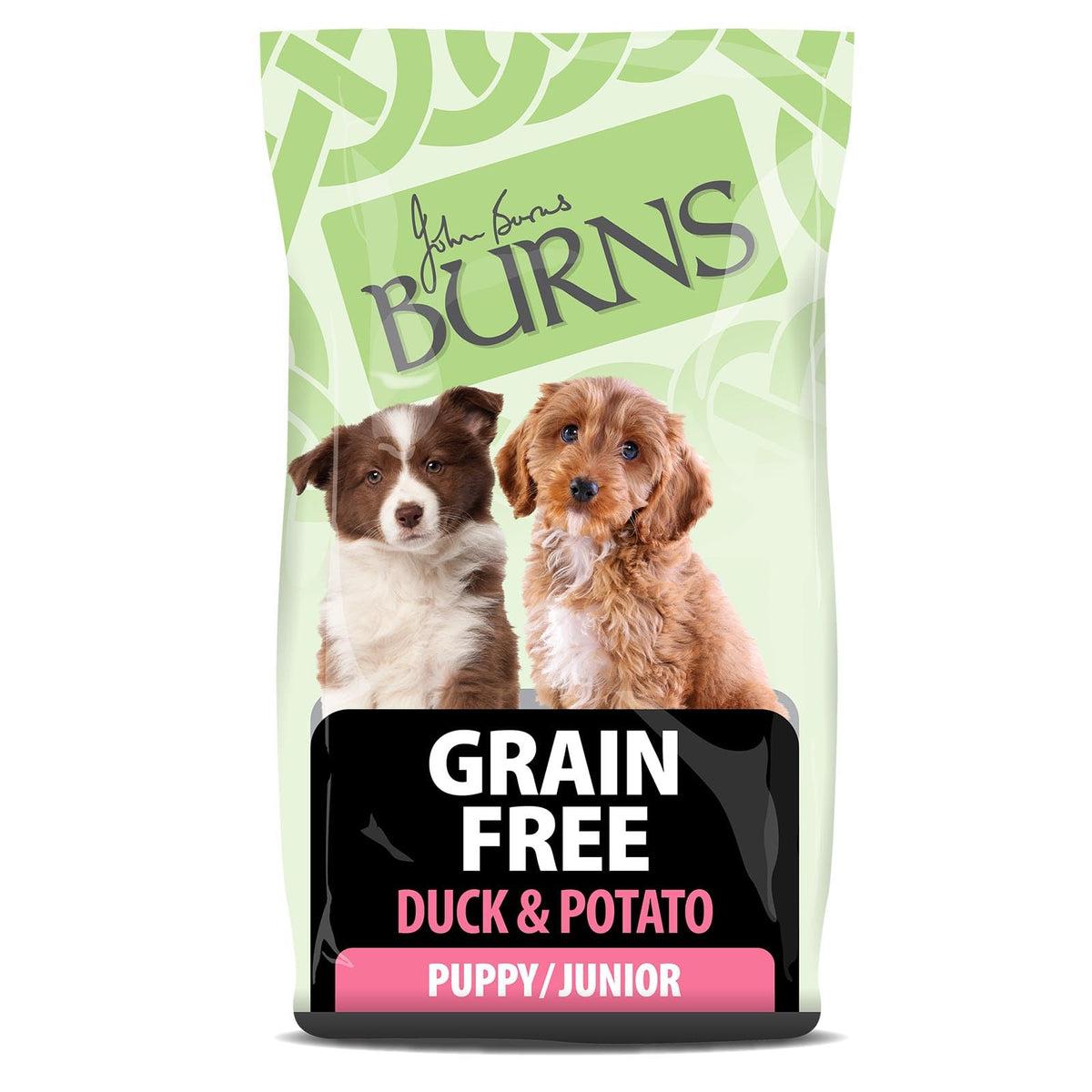 Burns Pet Nutrition Hypoallergenic Complete Dry Dog Food Puppy Grain Free Duck and Potato Grain Free 6 kg