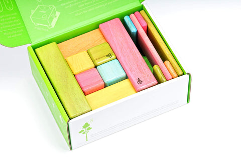 26 Piece Tegu Discovery Magnetic Wooden Block Set,1-99 years old, Tints