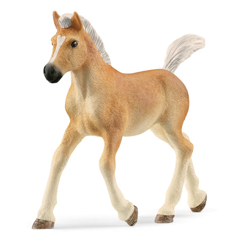 Schleich Horses 2023, Horse Club, Horse Toys for Girls and Boys Haflinger Foal Horse Toy Figurine, Ages 5+