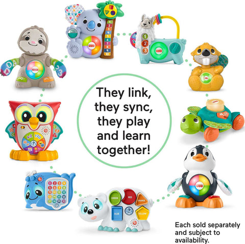Fisher-Price FP Infant HNN78 Toy