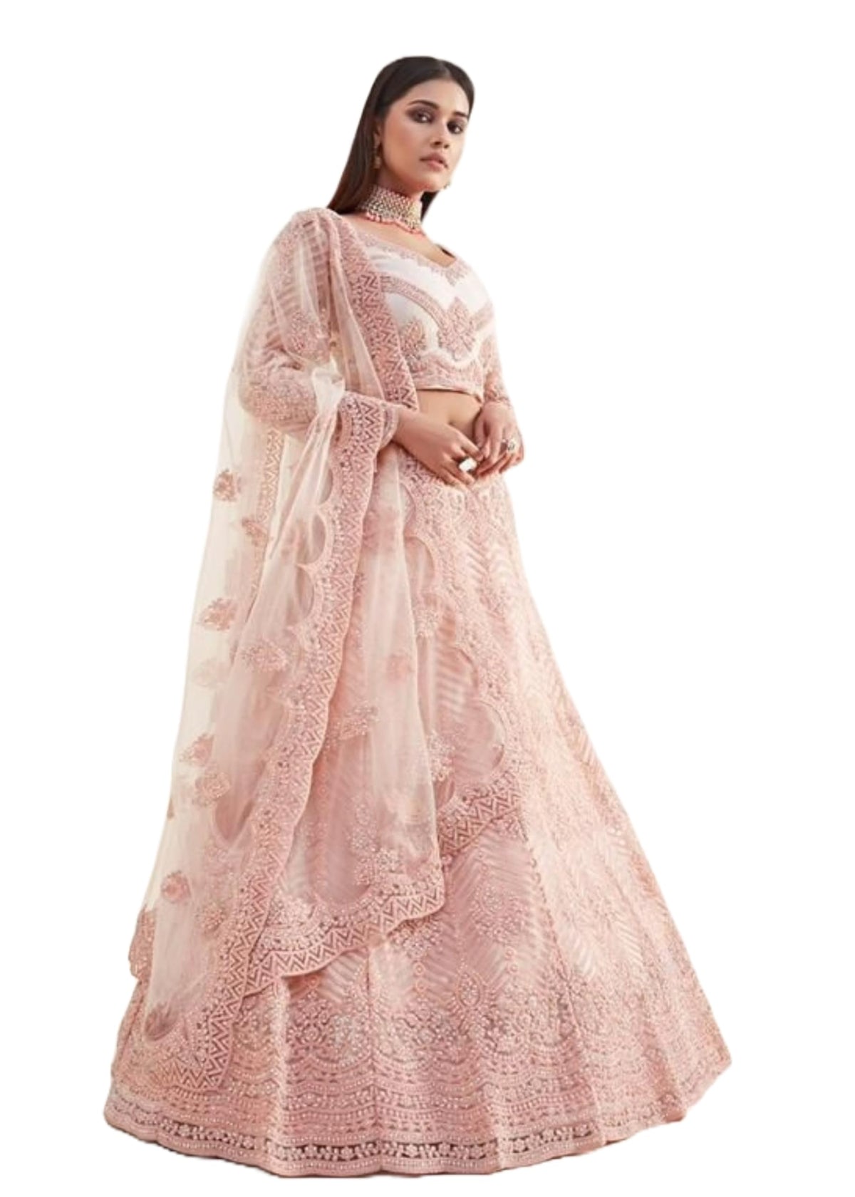 PINKKART Festival Party Stitched Net Indian Wedding Wear Women Lehenga Choli 17181920Ali, 5, Large