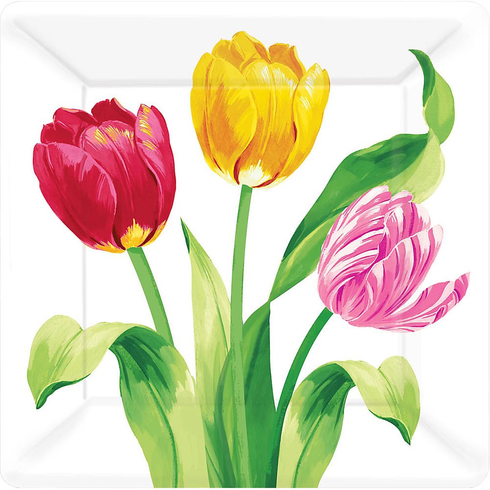 Amscan Square Plates Party Supplies, 7", Multi Color