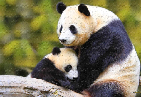 Popular Panda Bear 1000 Piece Jigsaw Puzzle 29.5 X 19.6' Wood-Material