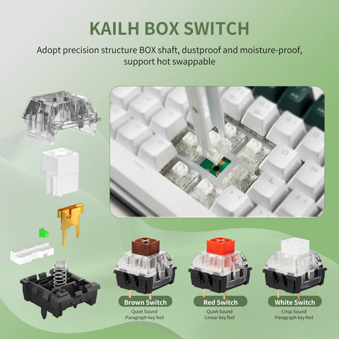 Hexgears GK13 Mechanical Keyboard, 87 Keys TKL Wired Keyboard, RGB Mixed Backlit Gaming Keyboard, Anti-ghosting Compact Computer Keyboard, Kailh Box White Switches Hot Swap