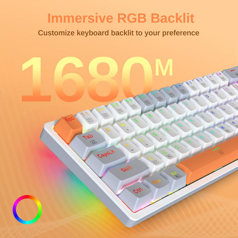 60% Keyboard Mechanical, Mini Wired Gaming Keyboard Compact 60 Percent Keyboard, RGB Backlit Hot-Swappable Red Switch Fully Programmable for Windows Laptop PC Mac,K642WGO White-Gray