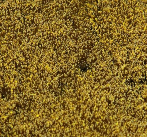 Faller 180466 Landscape Seg Cereal Fled Scenery and Accessories