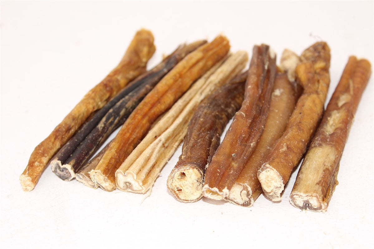 Pet Guru PREMIUM Bulls PIZZLES Pizzle Bully Sticks Dog Treat Chew (10)
