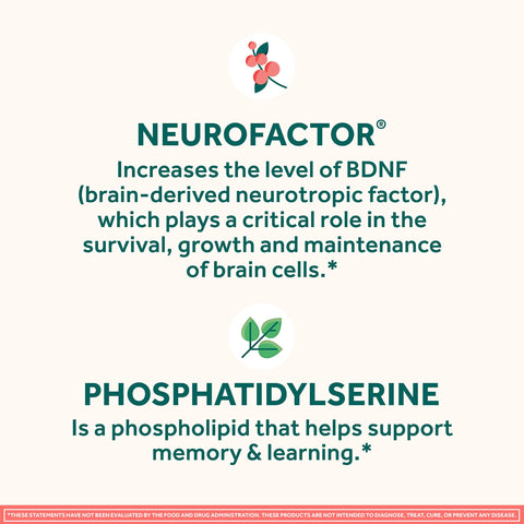 NEURIVA Brain Supplement for Memory & Focus with Phosphatidylserine & Neurofactor, Caffeine-Free Gummies